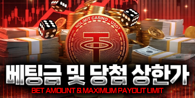 베팅금및당첨상한가