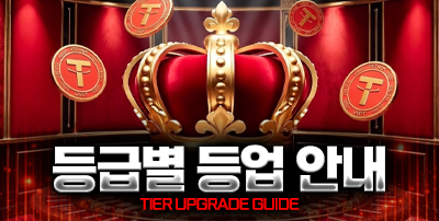 등급별등업안내
